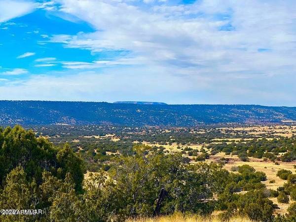 Co Rd 5062 2.39 Acres -- #-, Concho, AZ 85924