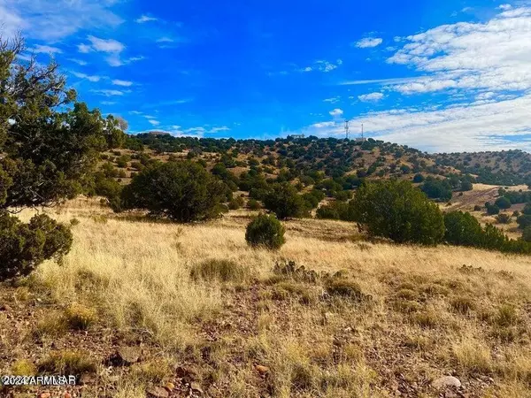 Concho, AZ 85924,Co Rd 5062 2.39 Acres -- #-