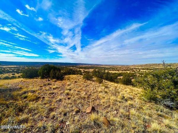 Concho, AZ 85924,Co Rd 5062 2.39 Acres -- #-