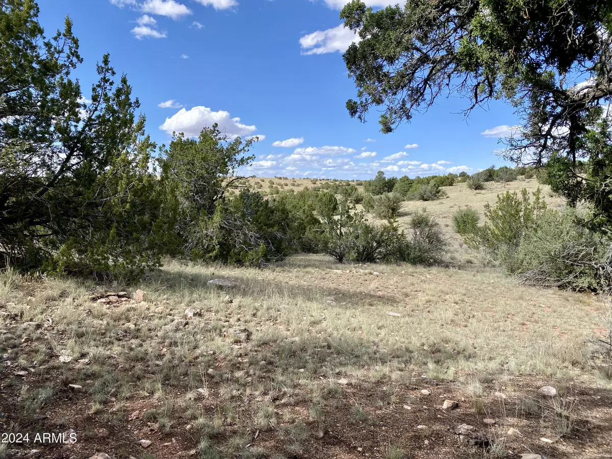 Williams, AZ 86046,5733 W CLOVE HITCH Road #356