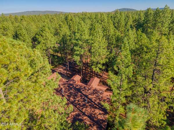 Pinetop, AZ 85935,7064 MOON CREEK Circle