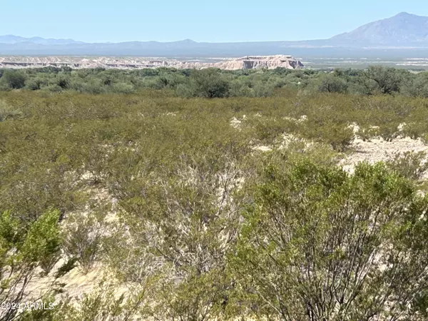 Eden, AZ 85535,8 W Zola Street #8