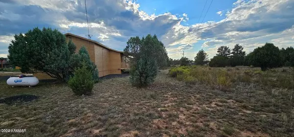 Overgaard, AZ 85933,2240 MEADOW Lane