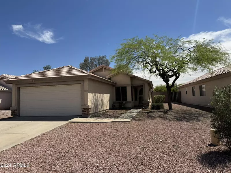 3909 N 105TH Drive, Avondale, AZ 85392