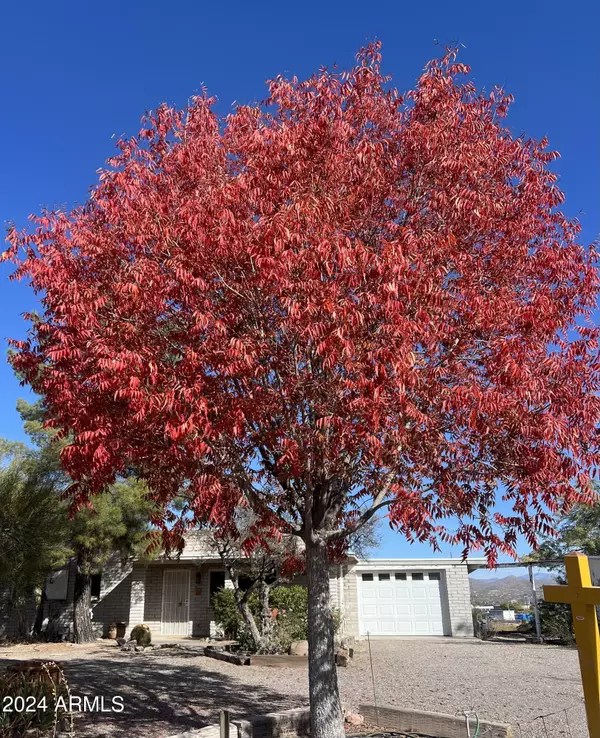 Wickenburg, AZ 85390,1140 JEDIONDIA Drive