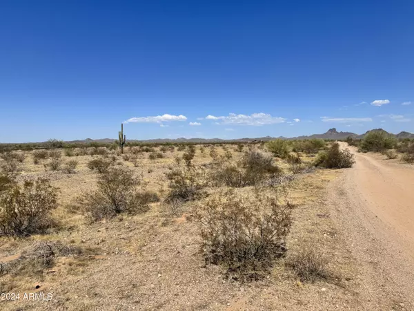 Wittmann, AZ 85361,W Dove Valley Rd Road #-