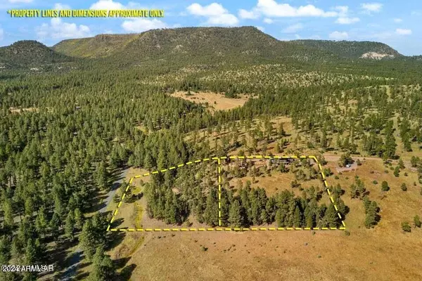 Alpine, AZ 85920,63 COUNTY ROAD 2330 --