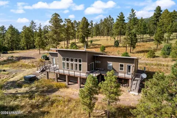 63 COUNTY ROAD 2330 --,  Alpine,  AZ 85920