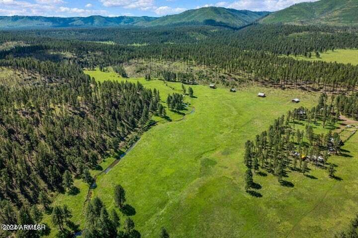 8253 Wiltbank Road #n/a, Alpine, AZ 85920