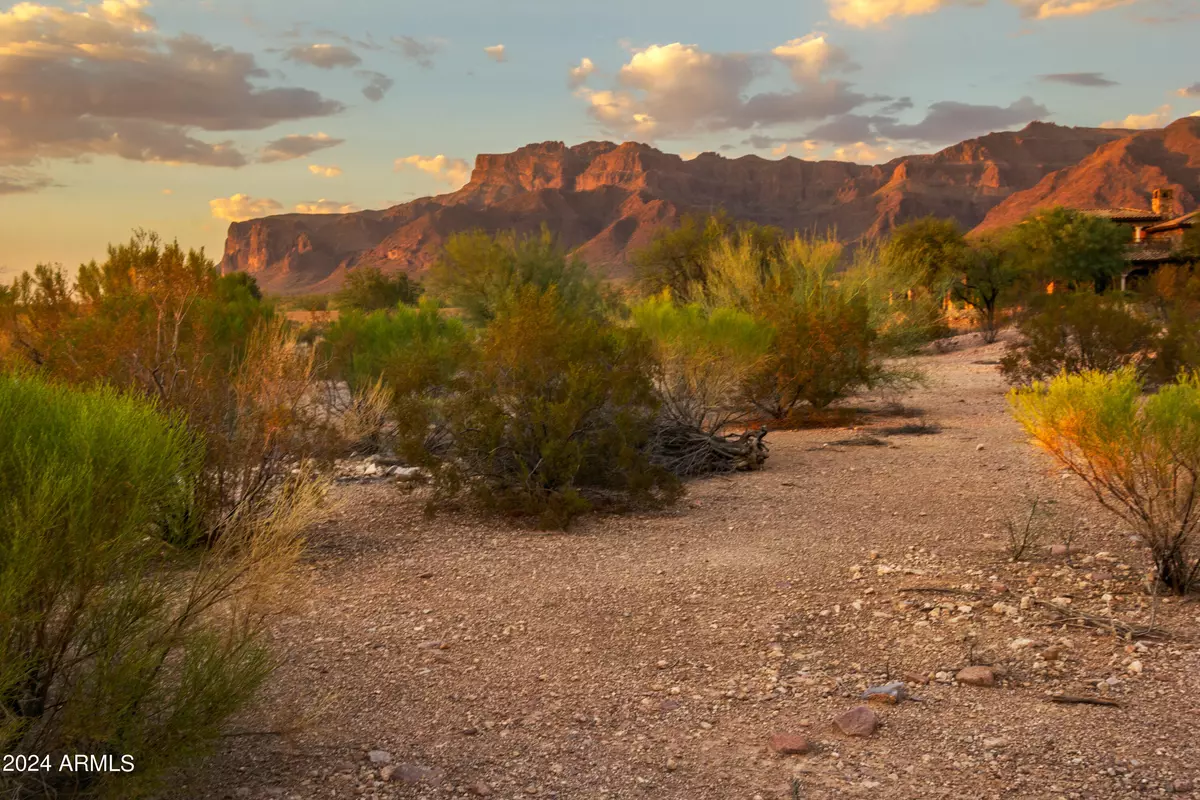 Gold Canyon, AZ 85118,9245 E CANYON VIEW Trail #14