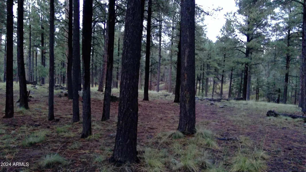 1864 QUILT COUNTRY Drive #780, Forest Lakes, AZ 85931