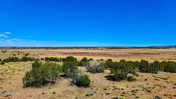 St Johns, AZ 85936,N6655 40.49 Acres -- #-