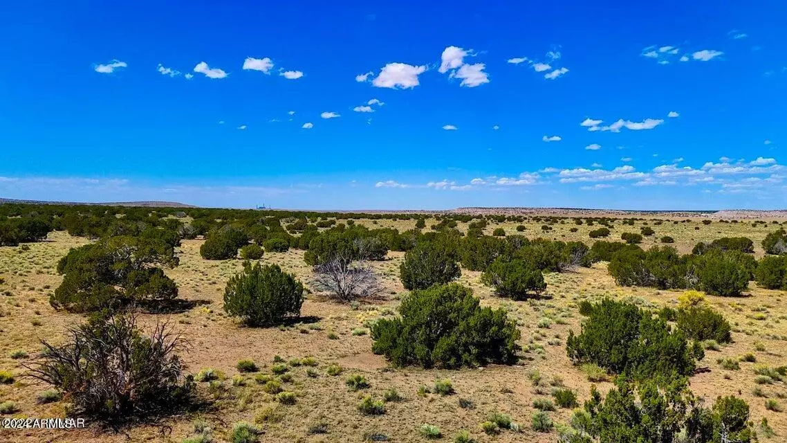 St Johns, AZ 85936,N6655 40.49 Acres -- #-