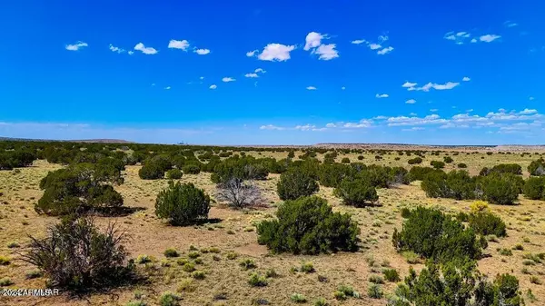 N6655 40.49 Acres -- #-, St Johns, AZ 85936