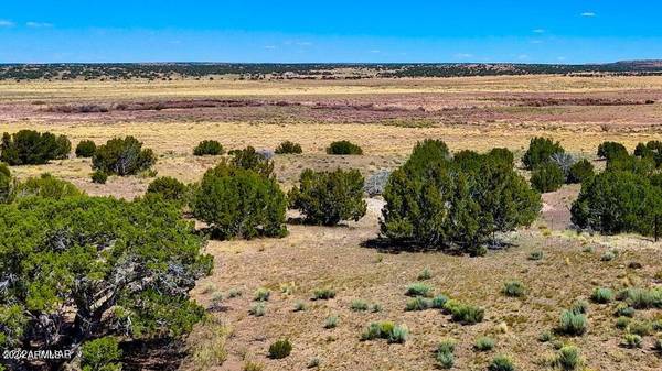 St Johns, AZ 85936,N6655 40.49 Acres -- #-