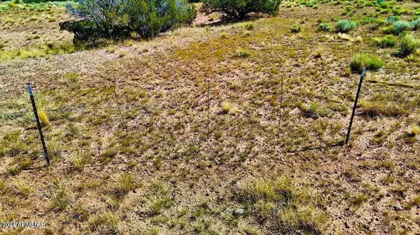 St Johns, AZ 85936,N6655 40.49 Acres -- #-