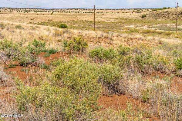 Concho, AZ 85924,35 RANCH (5126) Road #59