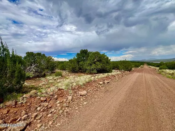 Concho, AZ 85924,43 & 47 COUNTY ROAD 8027 -- #-