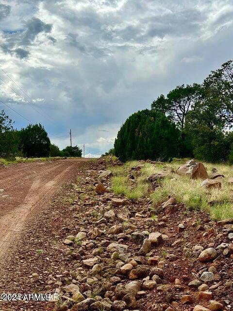 Concho, AZ 85924,43 & 47 COUNTY ROAD 8027 -- #-