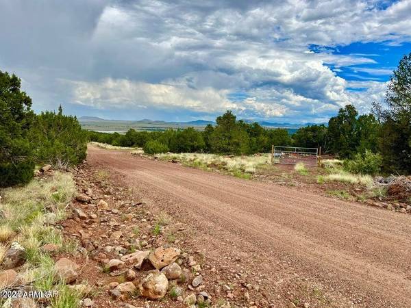 Concho, AZ 85924,43 & 47 COUNTY ROAD 8027 -- #-