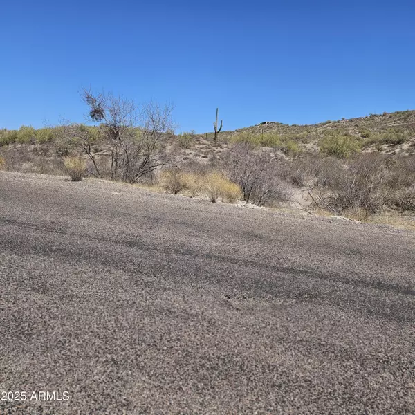 0 N Sandy Bluff Road #15, Fort Mcdowell, AZ 85264