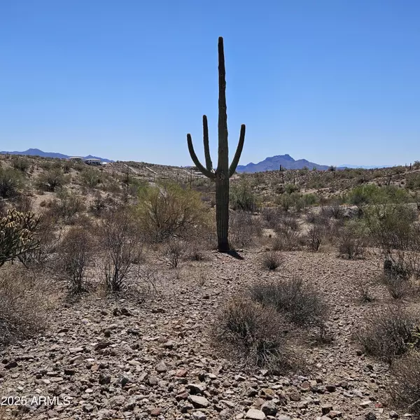 Fort Mcdowell, AZ 85264,0 N Sandy Bluff Road #15