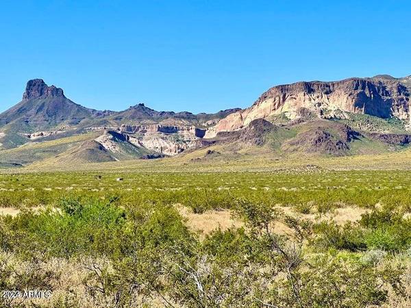 Golden Valley, AZ 86413,0 Wingate Dr 37.65 Acres -- #7