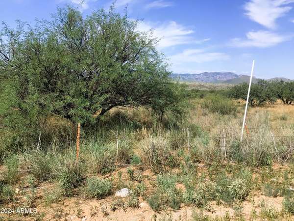 Willcox, AZ 85643,3715 S Warbonnet Road #15