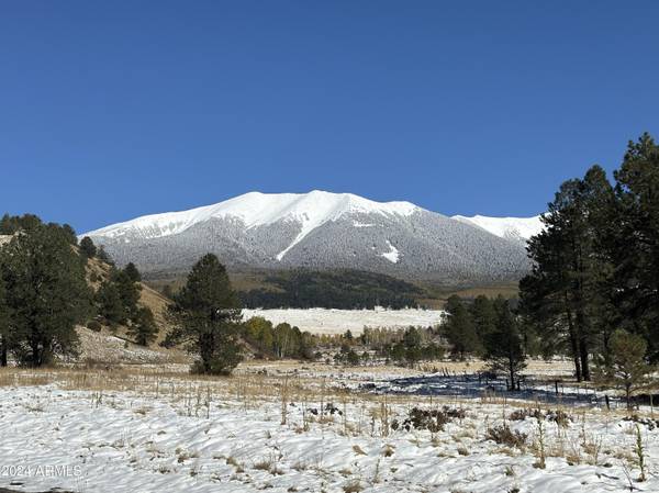 Flagstaff, AZ 86001,1 Hart Praire Rd -- #-