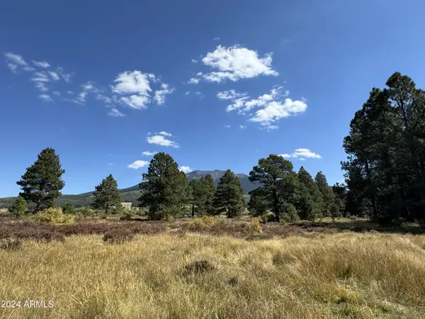 Flagstaff, AZ 86001,2 Hart Prairie Rd -- #-