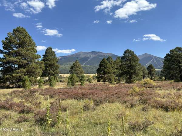 Flagstaff, AZ 86001,2 Hart Prairie Rd -- #-