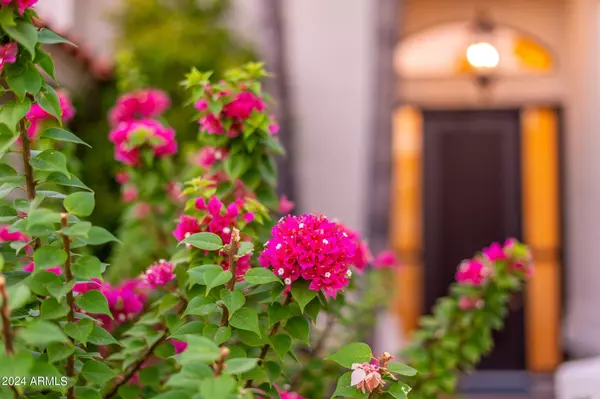 Scottsdale, AZ 85258,8726 E SAN VICENTE Drive