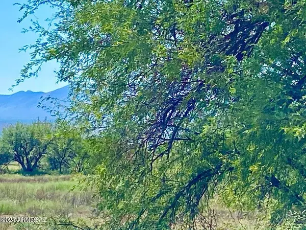 Benson, AZ 85602,Butterfield Ln 5 Acres -- #-