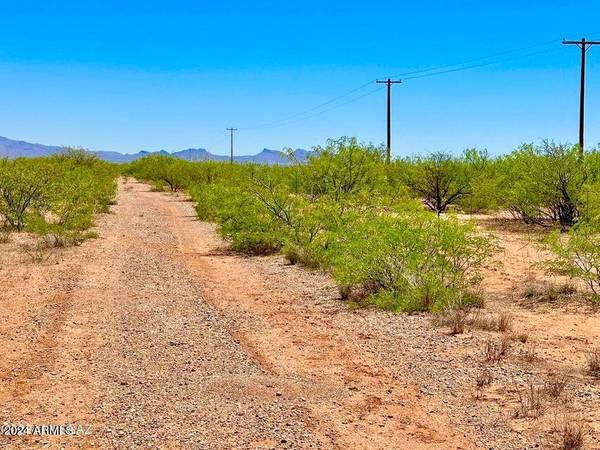 Douglas, AZ 85607,W Alvarado Ln 130 Acres -- #-