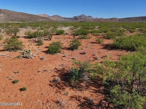 Douglas, AZ 85607,Silver  Creek Ranch Rd 39 Acre -- #-