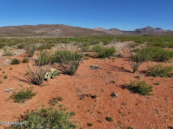 Silver  Creek Ranch Rd 39 Acre -- #-, Douglas, AZ 85607