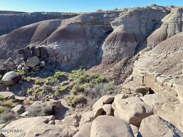 Holbrook, AZ 86025,SHERI RD 160 ACRES -- #-