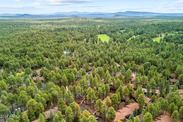 Pinetop, AZ 85935,4389 FAIRWAY Drive #9