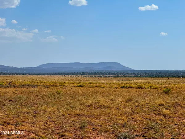 Seligman, AZ 86337,Valley Ranches Lot 18 37 Acres -- #-