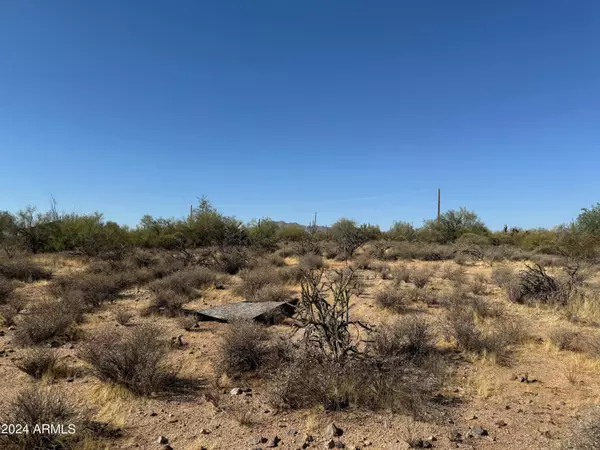 Rio Verde, AZ 85263,16800 E Bajada Drive #-