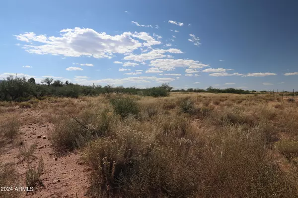 67 W EEyore Lane #19, Benson, AZ 85602