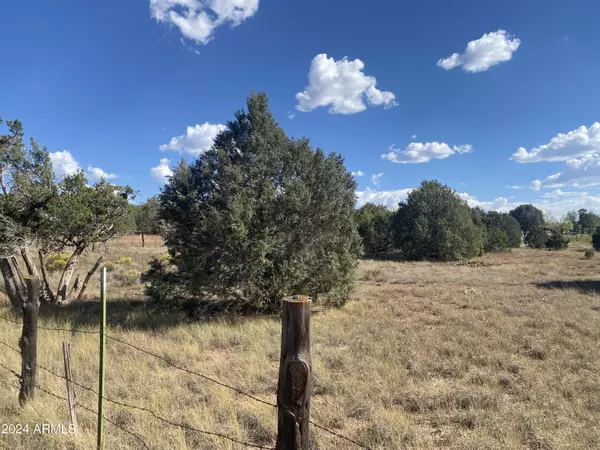 2146 COPPER Road #1, Clay Springs, AZ 85923