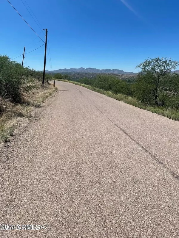 Rio Rico, AZ 85648,298 CALLE CAPPELA -- #18
