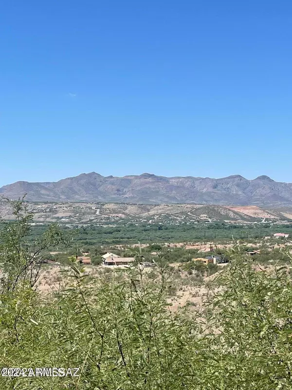 Rio Rico, AZ 85648,298 CALLE CAPPELA -- #18