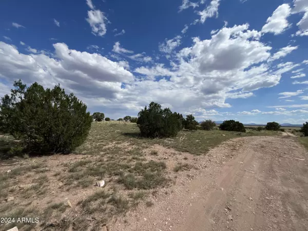 Williams, AZ 86046,530 E PINE Road #20