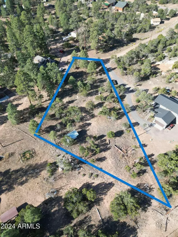 Overgaard, AZ 85933,3325 Ox Bow Bend #396