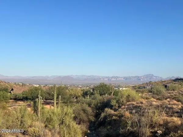 16020 N RINGTAIL Trail #239,  Fountain Hills,  AZ 85268