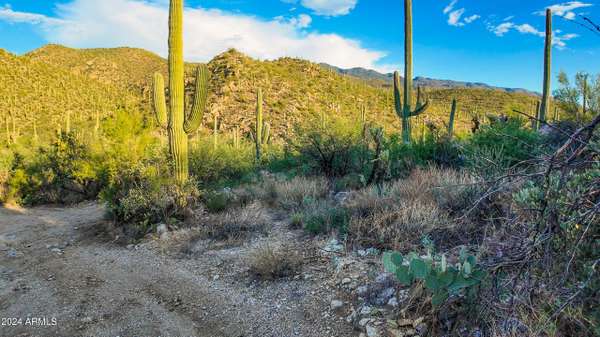 Tucson, AZ 85749,0 E Redington Rd. 15 Acres -- #-