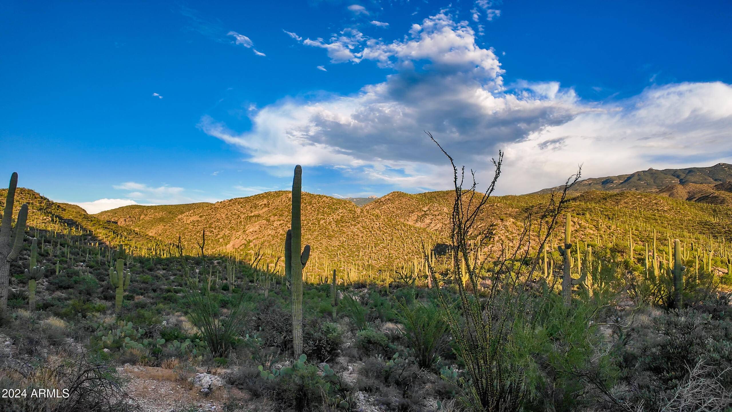 Tucson, AZ 85749,0 E Redington Rd. 15 Acres -- #-