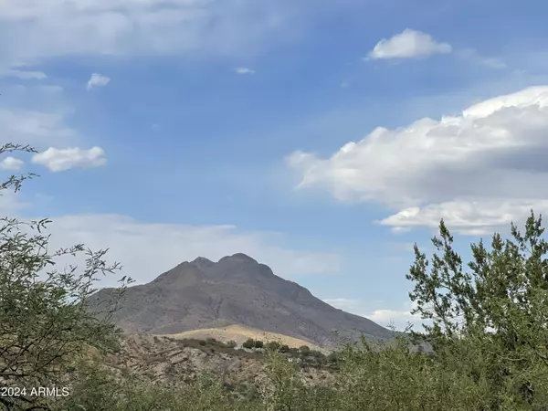 Rio Rico, AZ 85648,82 BLUE Lane #44